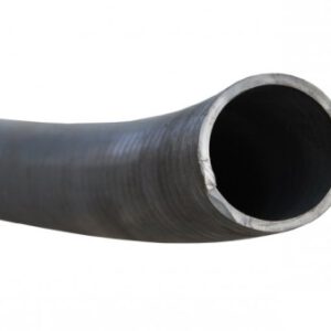 Borstboomslang Grijs Prestige