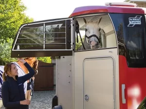 iFor Williams HBE & HBX Paardentrailers