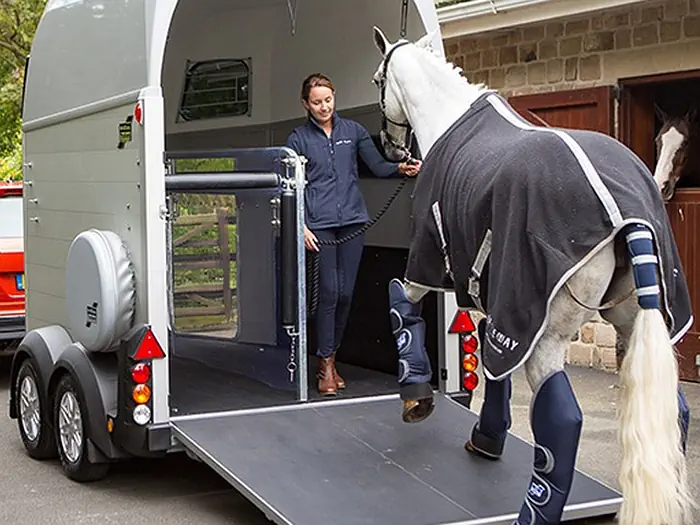 iFor Williams HBE & HBX Paardentrailers