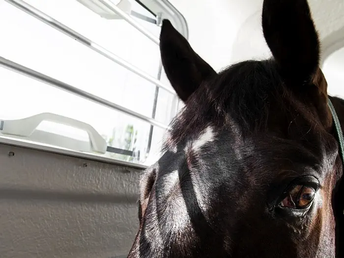 DWS Prestige Paardentrailer